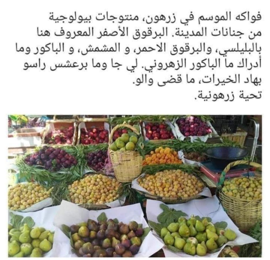 Riad Lala Zakia Moulay Idriss Eksteriør bilde